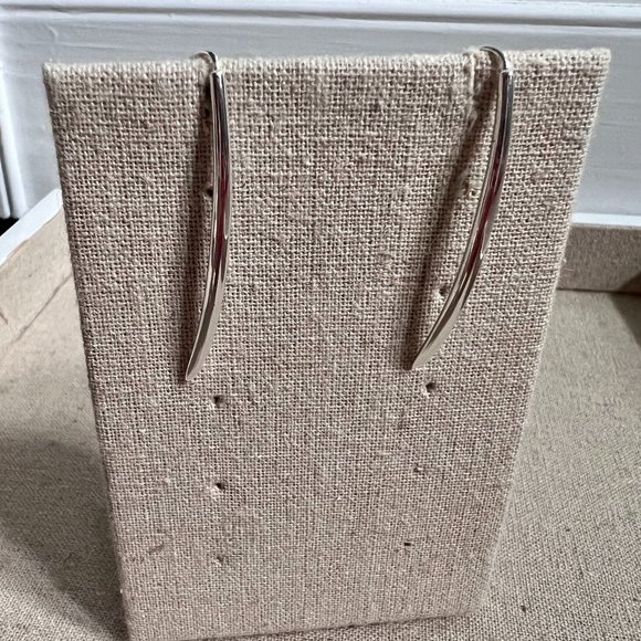 Silver Earrings - Picture 1 of 2